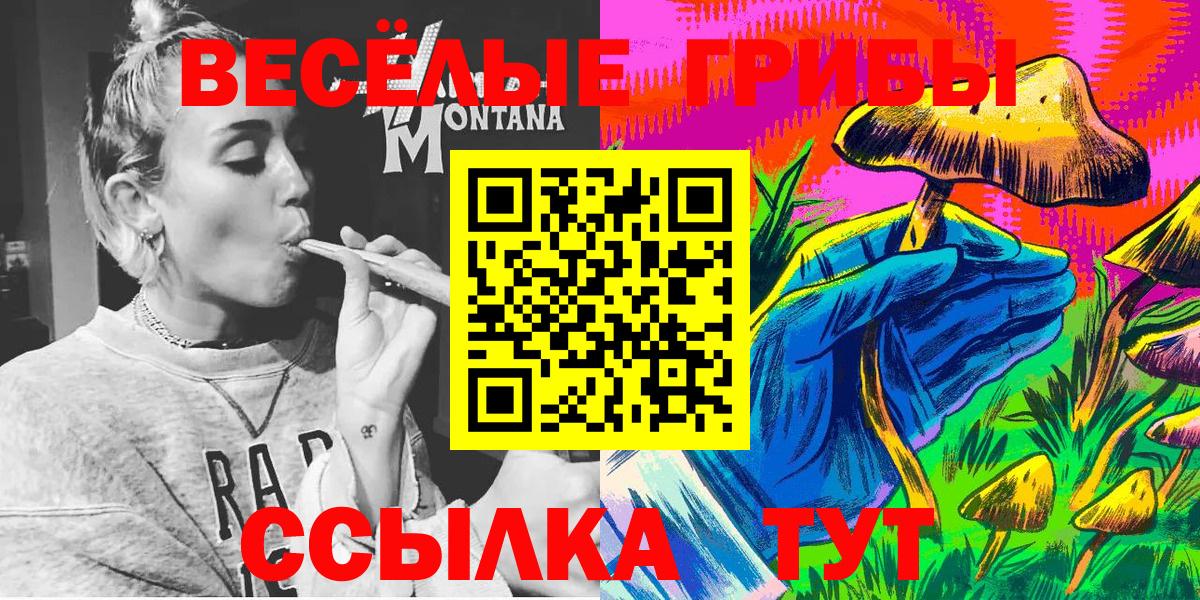 Псилоцибиновые грибы мицелий Гулькевичи