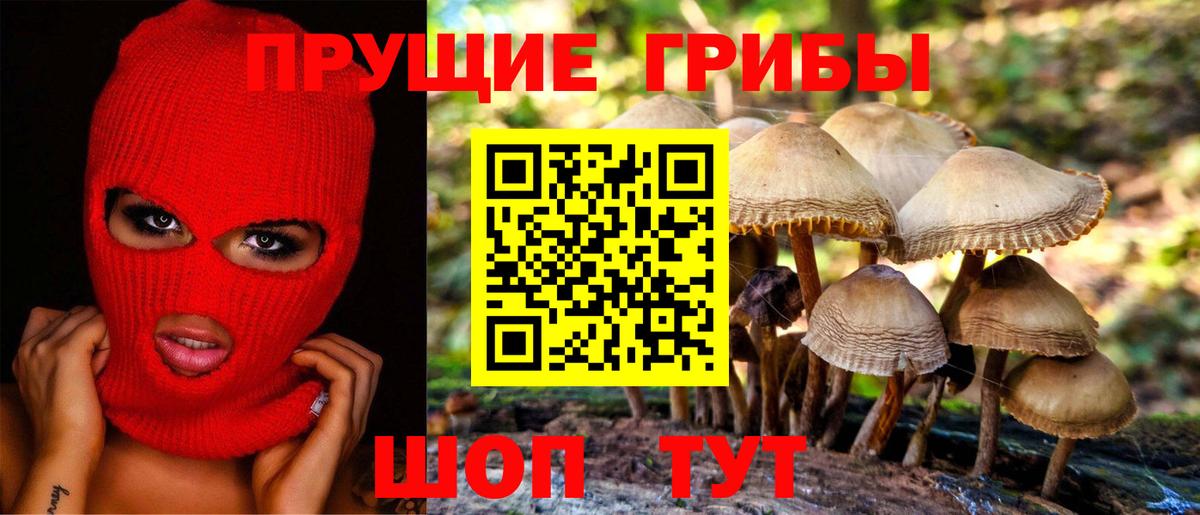 Галлюциногенные грибы Psilocybe  Псилоцибиновые грибы MAGIC MUSHROOMS  Вход с VPN  Гулькевичи 
